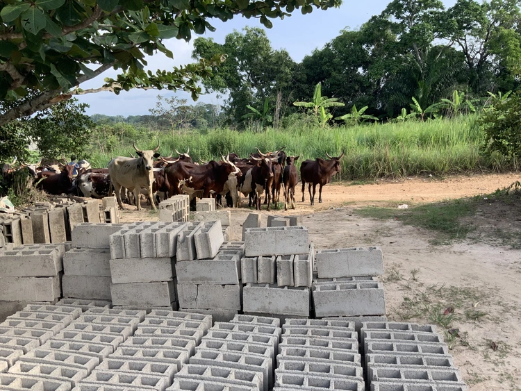 Tukanyi ɔ sɔtɔn ni inyak á tuya